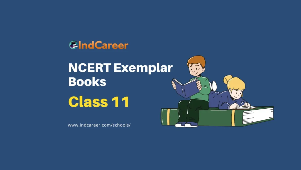 NCERT Exemplar Books for Class 11: A Comprehensive Guide