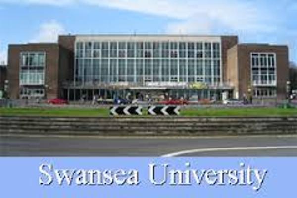 Swansea University